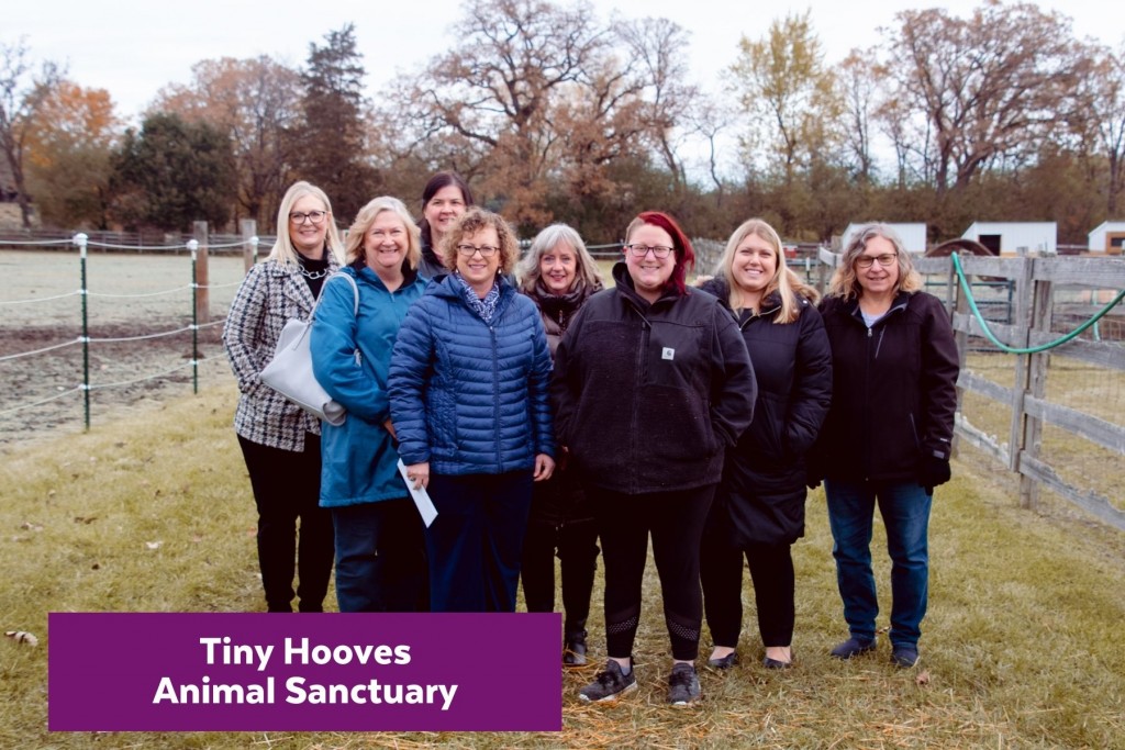 #Gift2Giving - Tiny Hooves Animal Sanctuary