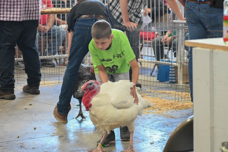 Racine County Fair 2023 