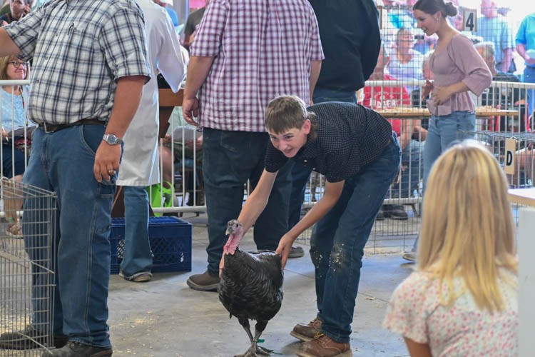 Racine County Fair 2023 