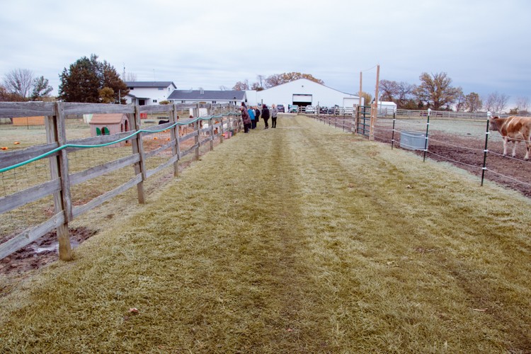 Tiny Hooves Animal Sanctuary