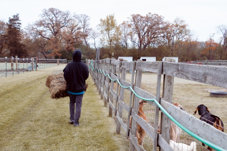 Tiny Hooves Animal Sanctuary