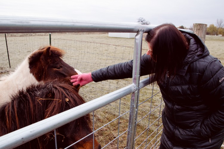 Tiny Hooves Animal Sanctuary