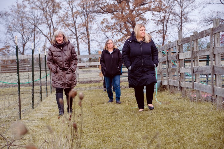 Tiny Hooves Animal Sanctuary