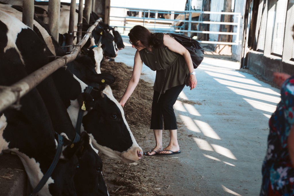 Farm to Table Event