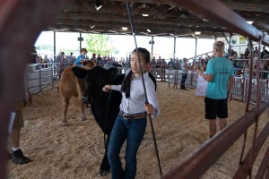 Racine County Fair 2023 