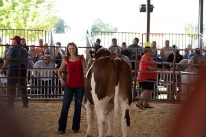 Racine County Fair 2023 