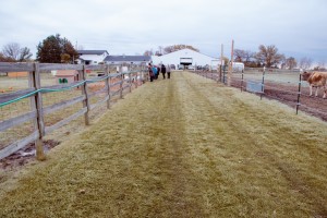 Tiny Hooves Animal Sanctuary