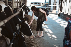 Farm to Table Event