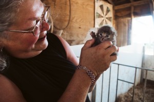Farm to Table Event